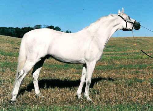 Bajar