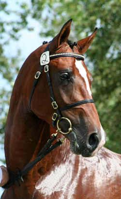 August 2007